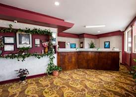 Knights Inn - Fayetteville NC 4