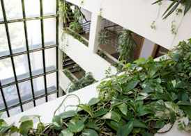 Ejido Hotel 4