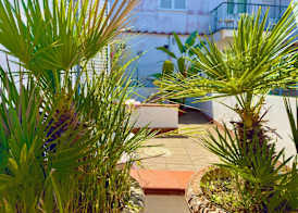 Hotel Villa Fiorentina 4