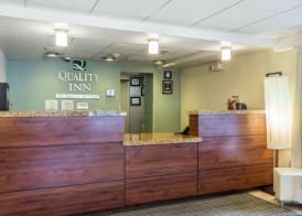 Quality Inn Flamingo 5