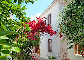 Studios Loukia 5
