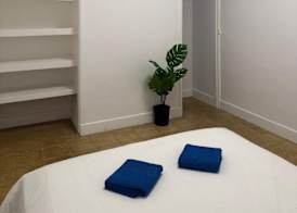 Las Palmas Nest Hostel 5