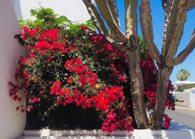 Apartamentos Maribel 2