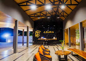 Asura 3