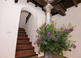 Apartamentos Nahira Suites 3000 5