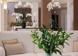 Hotel Cala Caterina - Relaxing Escape 2