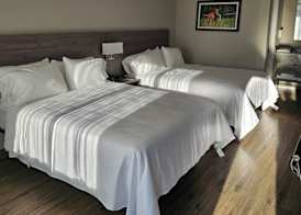Quality Inn & Suites Ocala I-75 4