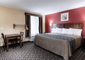 Americas Best Value Inn NRG Park Medical Center 5