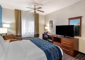 Comfort Inn & Suites Lees Summit - Kansas City 4