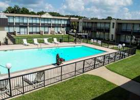 Days Inn by Wyndham Pittsburg KS 3