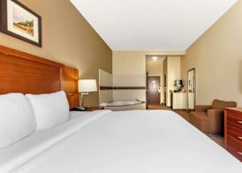 Comfort Inn & Suites Porter near Indiana Dunes 5