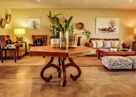 Bushveld Terrace Safari Hotel, Lodge & Spa 5