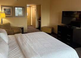 Holiday Inn TITUSVILLE - KENNEDY SPACE CTR by IHG 5