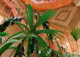 The Somos Bold Hotel 4