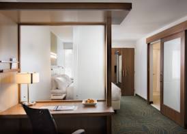 SpringHill Suites by Marriott Wisconsin Dells 4