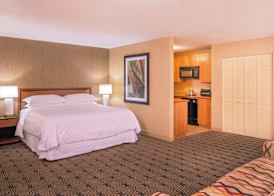 Sheraton Springfield Monarch Place Hotel 5