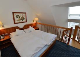 Rheinhotel Larus 5