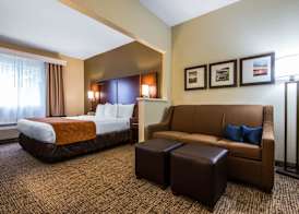 Comfort Suites Rochester Henrietta University Area 5