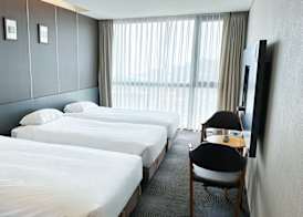 Golden Daisy Hotel 4