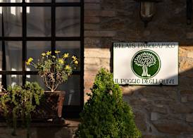 Il Poggio degli Olivi 4
