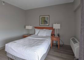 La Quinta by Wyndham New Haven 4