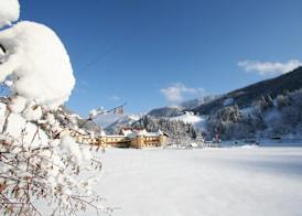 Hotel Waldesruh 5