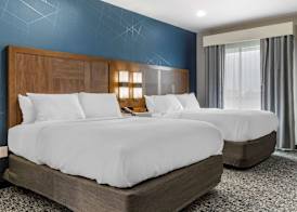 Comfort Suites Greenville Airport 4