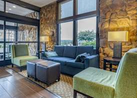 Comfort Inn & Suites near Danville Mall 2