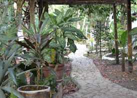 Hotel Jaguar Inn Tikal 2