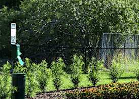 Home2 Suites By Hilton Orlando Airport 3