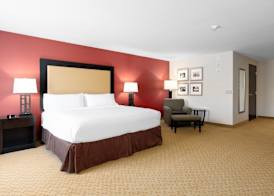 Holiday Inn TEMPLE-BELTON by IHG 5