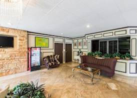 Eco Inn Suites by Hotel O Baytown 3