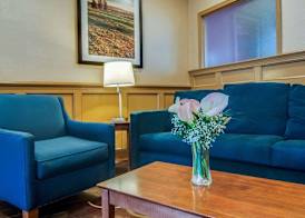 Comfort Inn & Suites Raphine - Lexington near I-81 and I-64 3