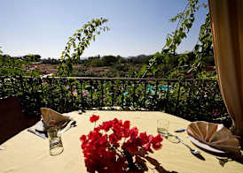Hotel Mariposas 4