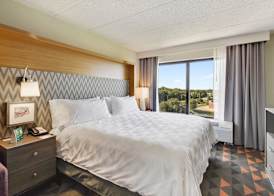 Holiday Inn CHICAGO NW CRYSTAL LK CONV CTR by IHG 4