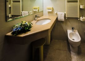 Hotel Baviera 5