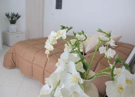Guest House Suite 3