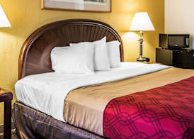 Rodeway Inn & Suites Carrollton 5