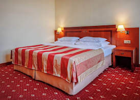 Hotel Villa 4