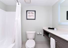 Holiday Inn Express & Suites NAPLES NORTH - BONITA SPRINGS by IHG 4