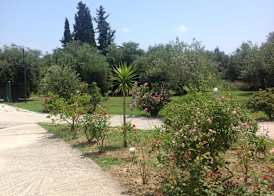 Yianetta Hotel & Suites 4