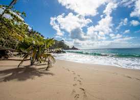 Spectacular Ocean View Top Floor 1-Bedroom Condo, Vista Mare, Samana DR 5