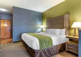Comfort Suites Southgate-Detroit 5