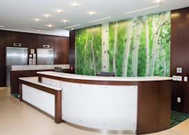 SpringHill Suites by Marriott Bloomington 3