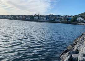 Dingle Harbour Nights - Room Only 5