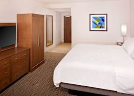Holiday Inn Express & Suites AUSTIN DOWNTOWN - UNIVERSITY by IHG 4
