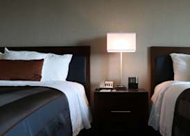 Wingate by Wyndham Miami Airport 3