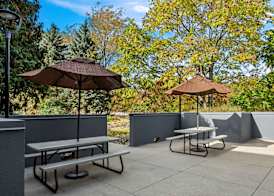 Spark By Hilton Stevensville 4