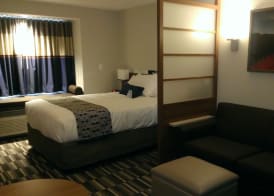 Microtel Inn & Suites by Wyndham Binghamton 5