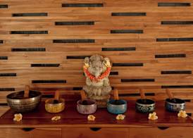 Tattva Ubud Retreat & Wellness 3